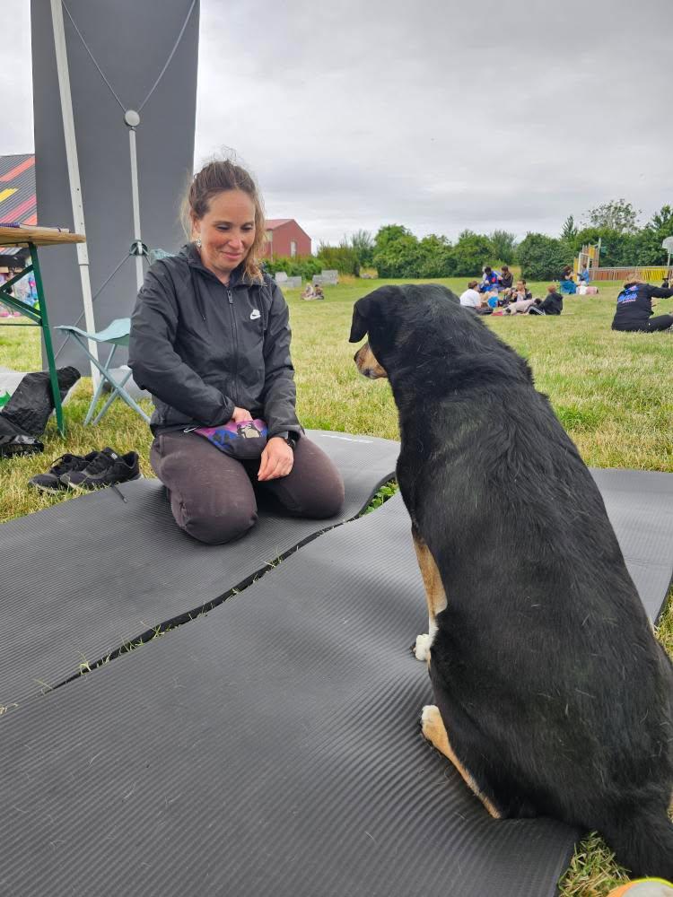 Chrystelle, praticienne en massages canins, lors d'une séance bien-être — Toutou Pawse, Pontault-Combault